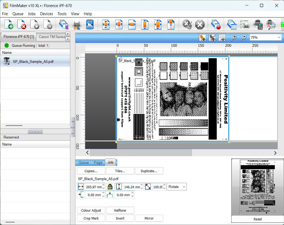 Screenshot of RIP